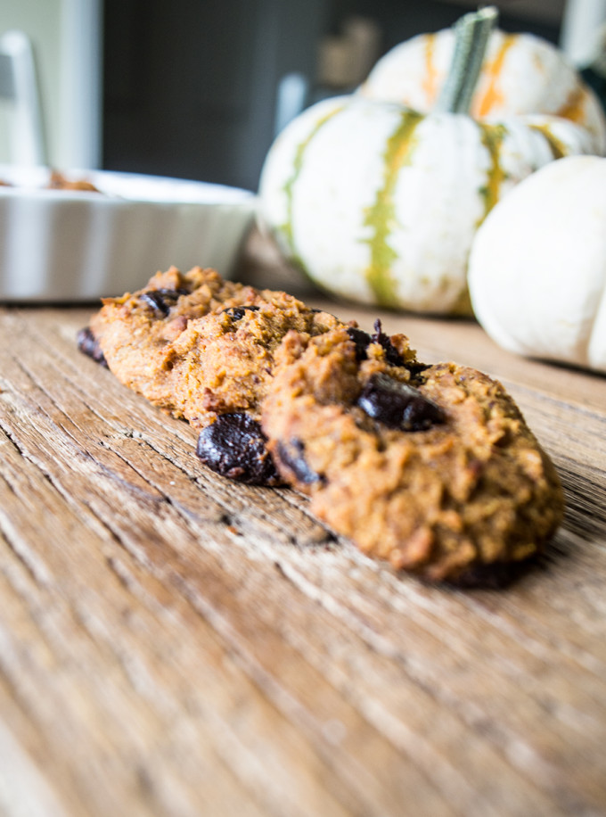 grain-free-pumpkin-chocolate-chip-cookies2