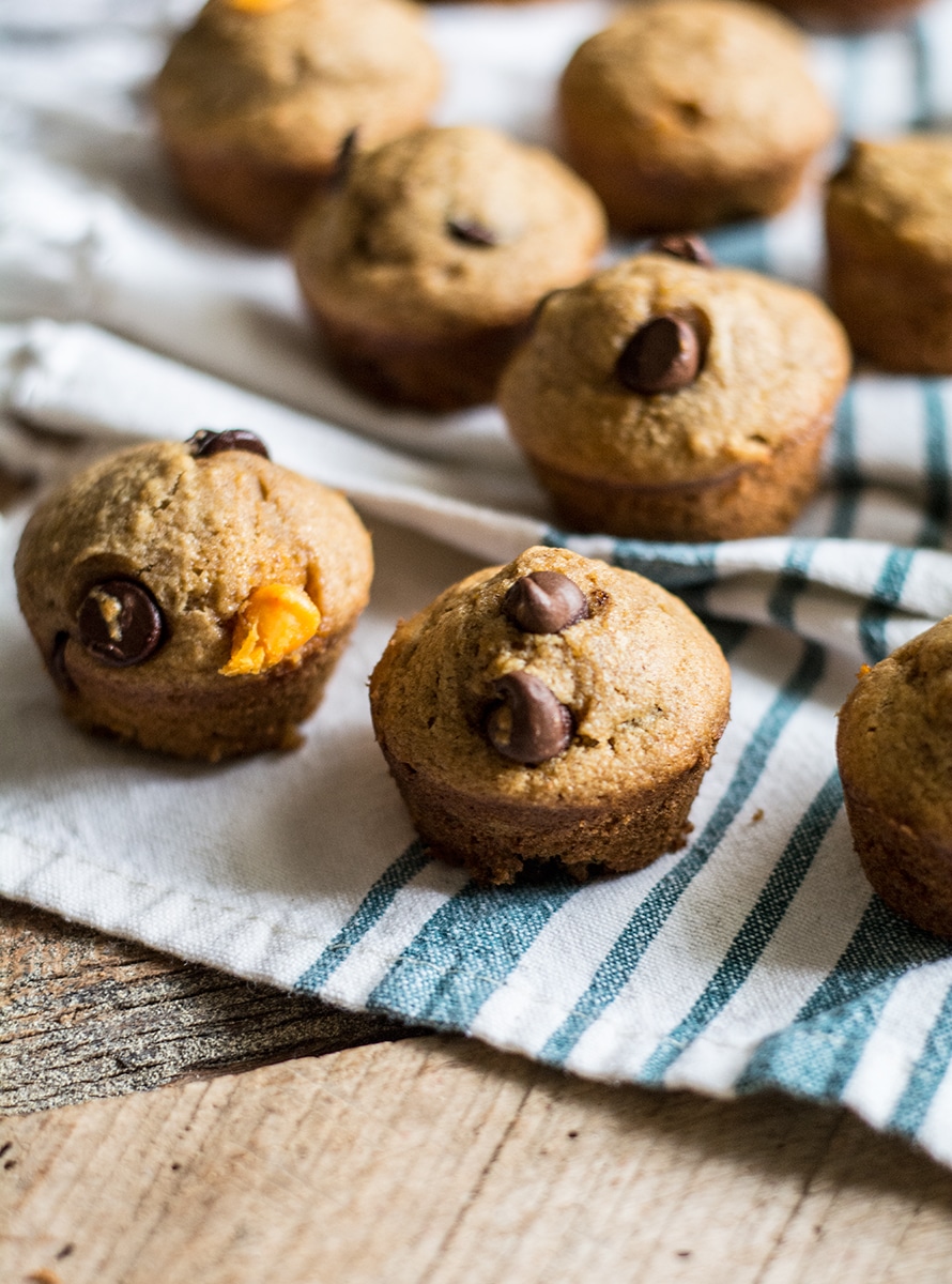 Healthy Butternut Squash Mini Muffins with Dark Chocolate Chips | Lemons and Basil 