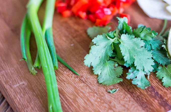 chilaquiles-with-chipotle-pepper4