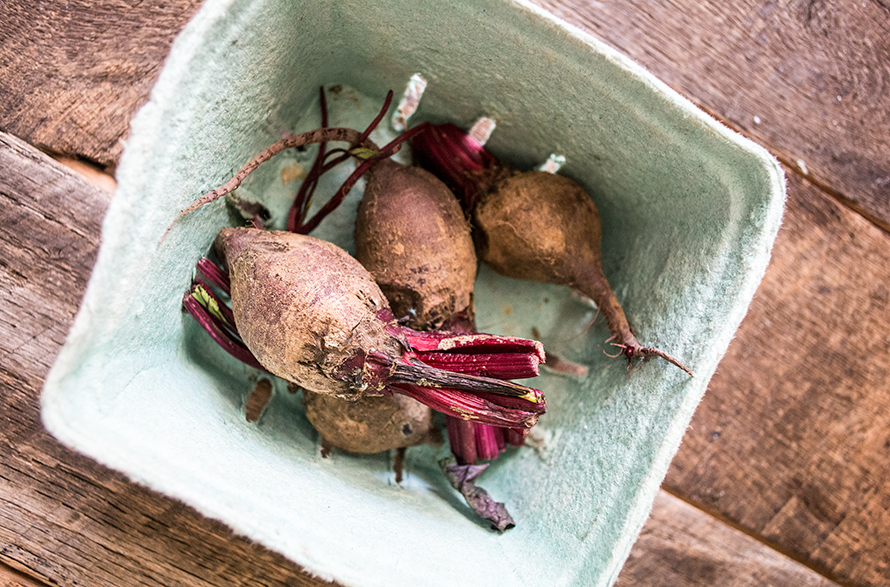 Roasted Beet Chips + Remembering My Mom Lemons and Basil