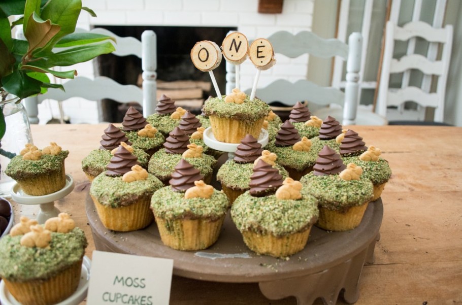 Brighton's First Birthday A Woodland ONEderland Lemons and Basil