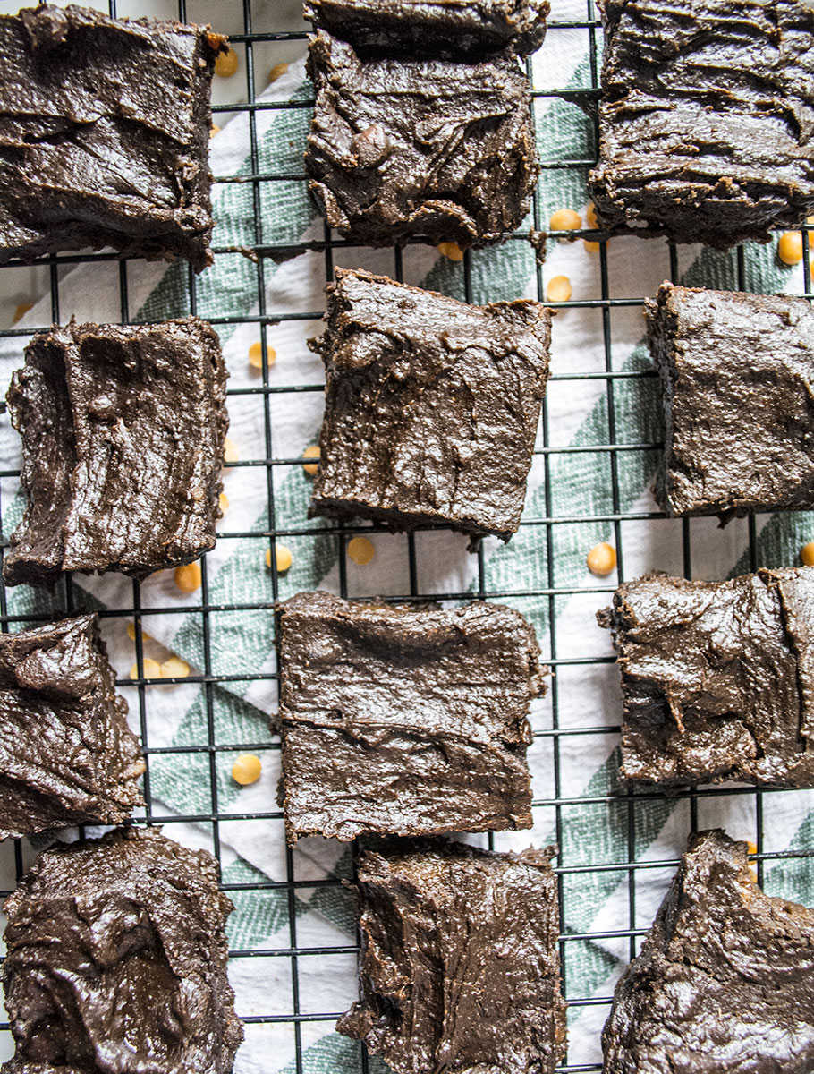 Superfood Dark Chocolate Protein Brownies | Lemons and Basil